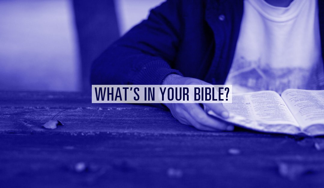 What’s in Your Bible?