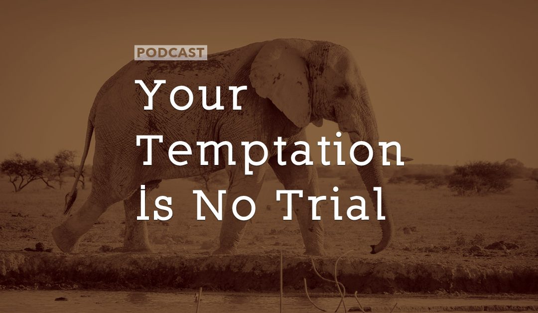 Your Temptation Is No Trial