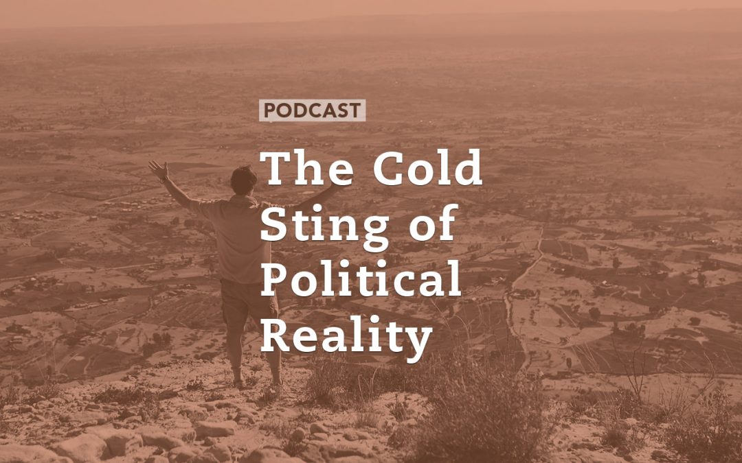 The Cold Sting of Political Reality