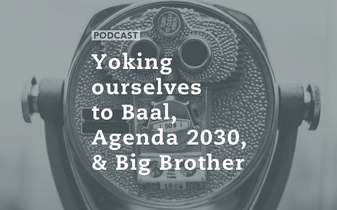Carl Gallups: ‘Yoking ourselves to Baal,’ Agenda 2030, and ‘Big Brother’