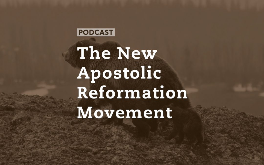 The New Apostolic Reformation Movement
