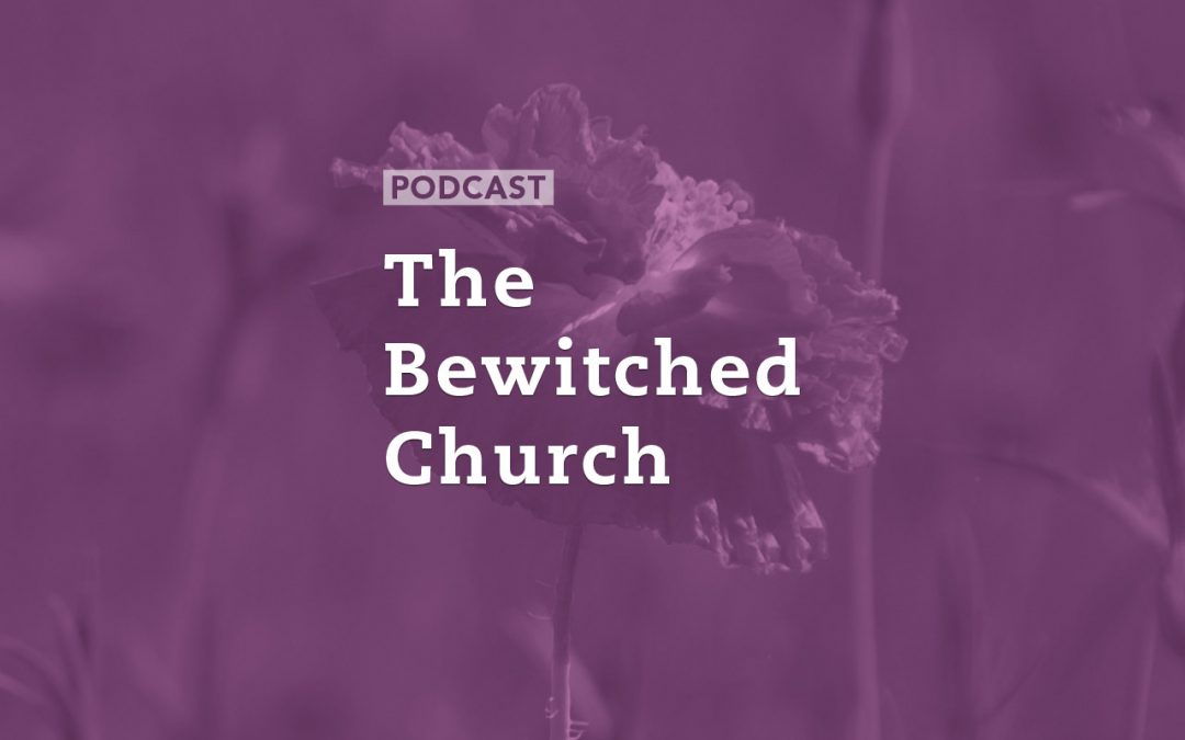 The Bewitched Church