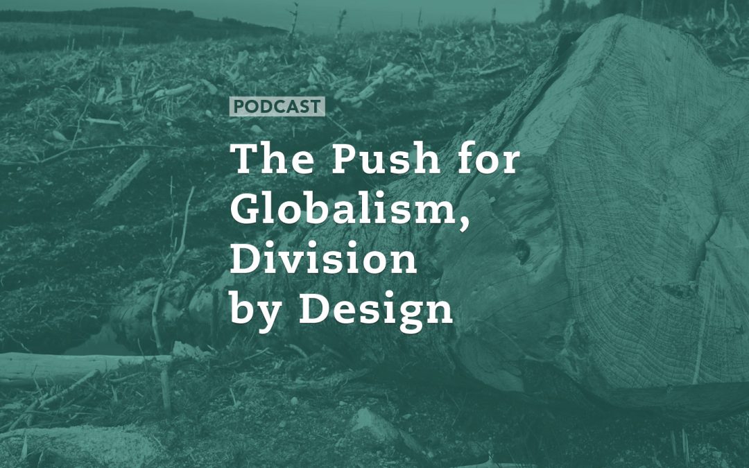 The Push for Globalism, Division by Design