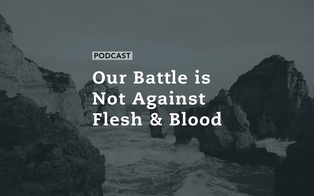 Our Battle is Not Against Flesh and Blood