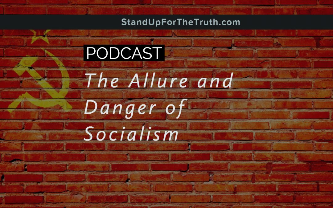 The Allure and Danger of Socialism