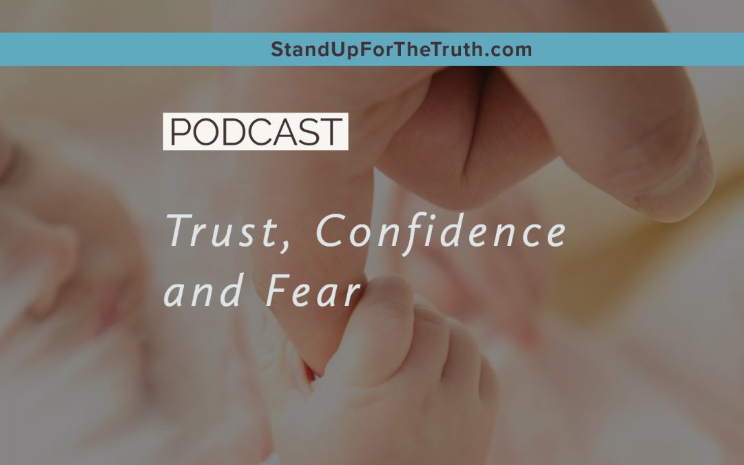 Trust, Confidence and Fear