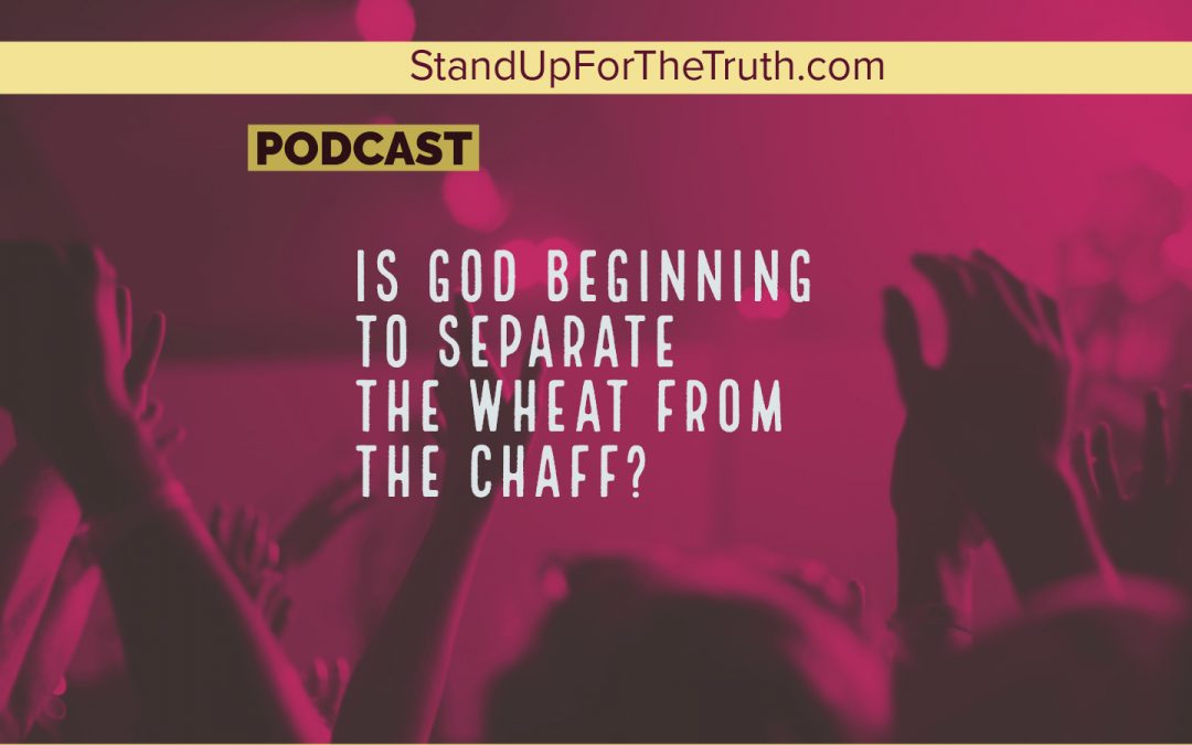 Is God Beginning to Separate the Wheat from the Chaff?
