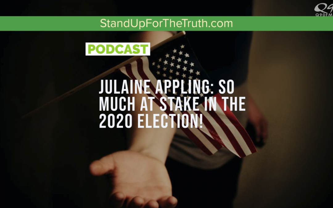 Julaine Appling: So Much At Stake in the 2020 Election!